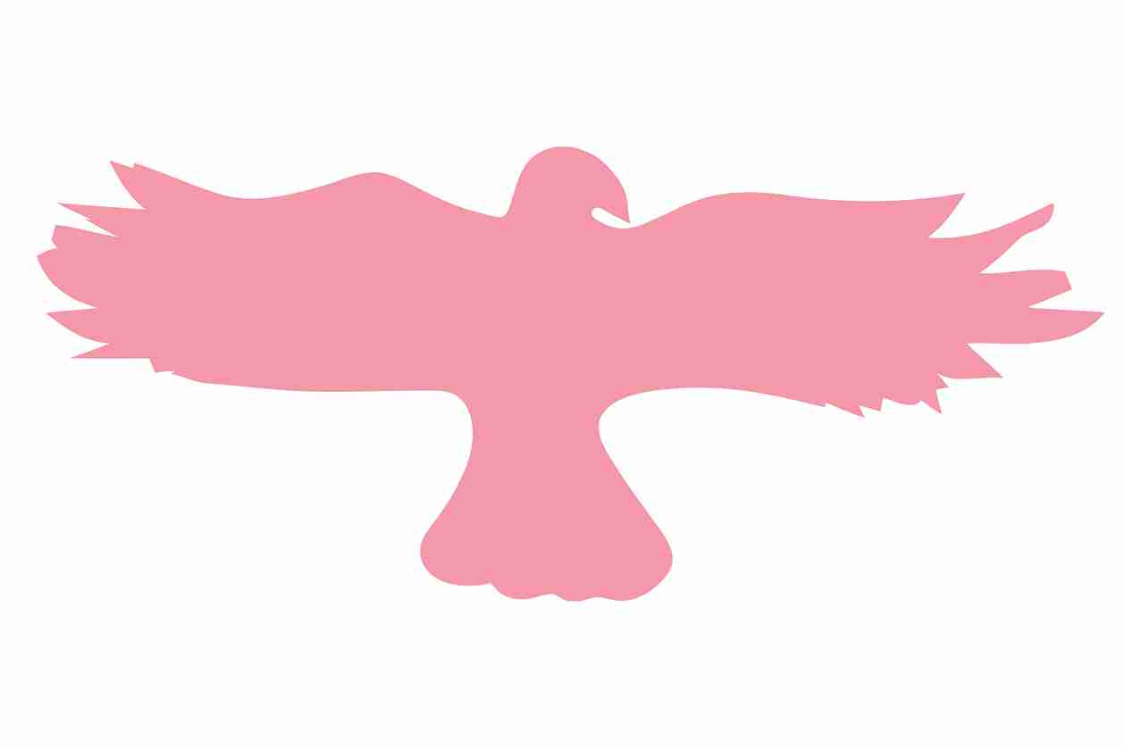 Vogelbeschermingssticker 60-100 cm EW-VOG-20-812, lichtrode kleur, gemaakt van weerbestendig kunststof.