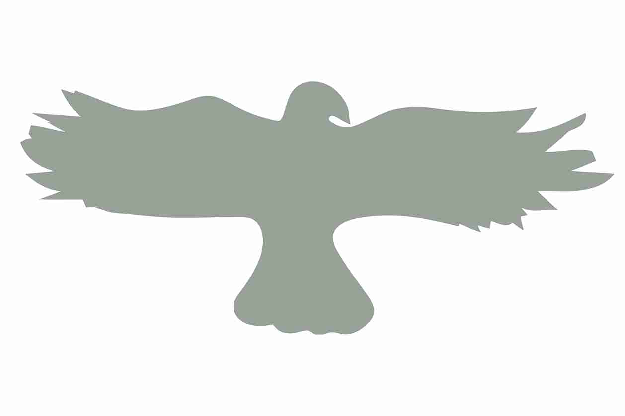 Vogelbeschermingssticker 10-50 cm EW-VOG-20-91, lichtgrijze kleur, gemaakt van weerbestendig kunststof.
