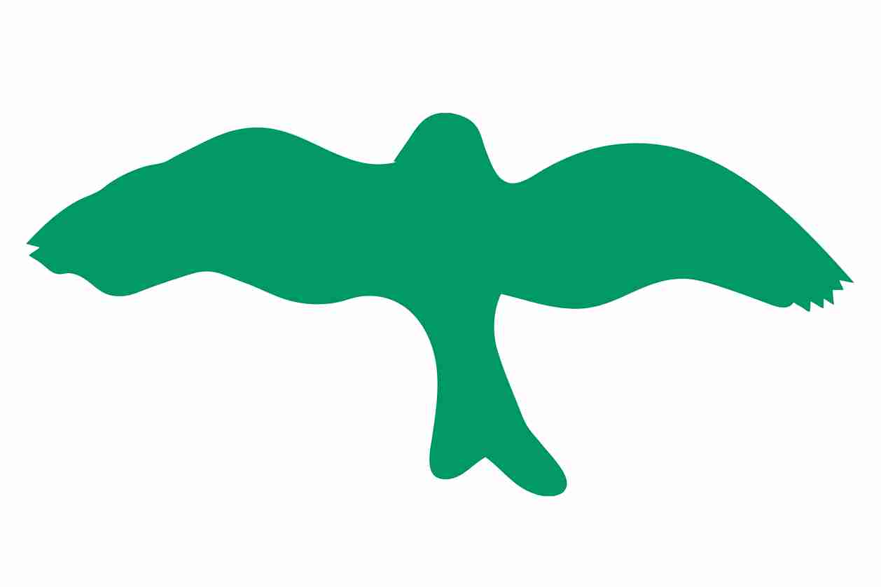 Vogelbeschermingssticker 60-100 cm EW-VOG-30-54, donkergroene kleur, gemaakt van weerbestendig kunststof.