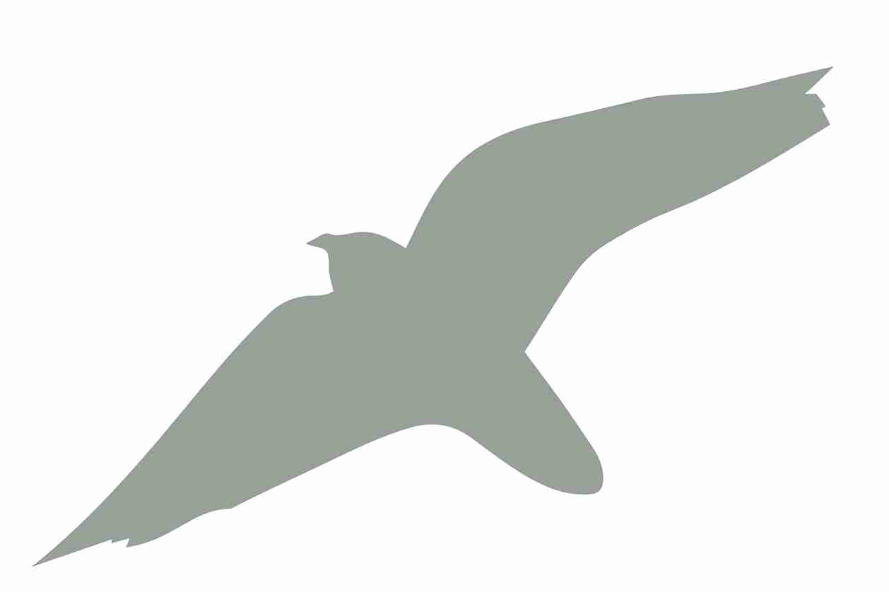 Vogelbeschermingssticker 10-50 cm EW-VOG-40-91, lichtgrijze kleur, gemaakt van weerbestendig kunststof.