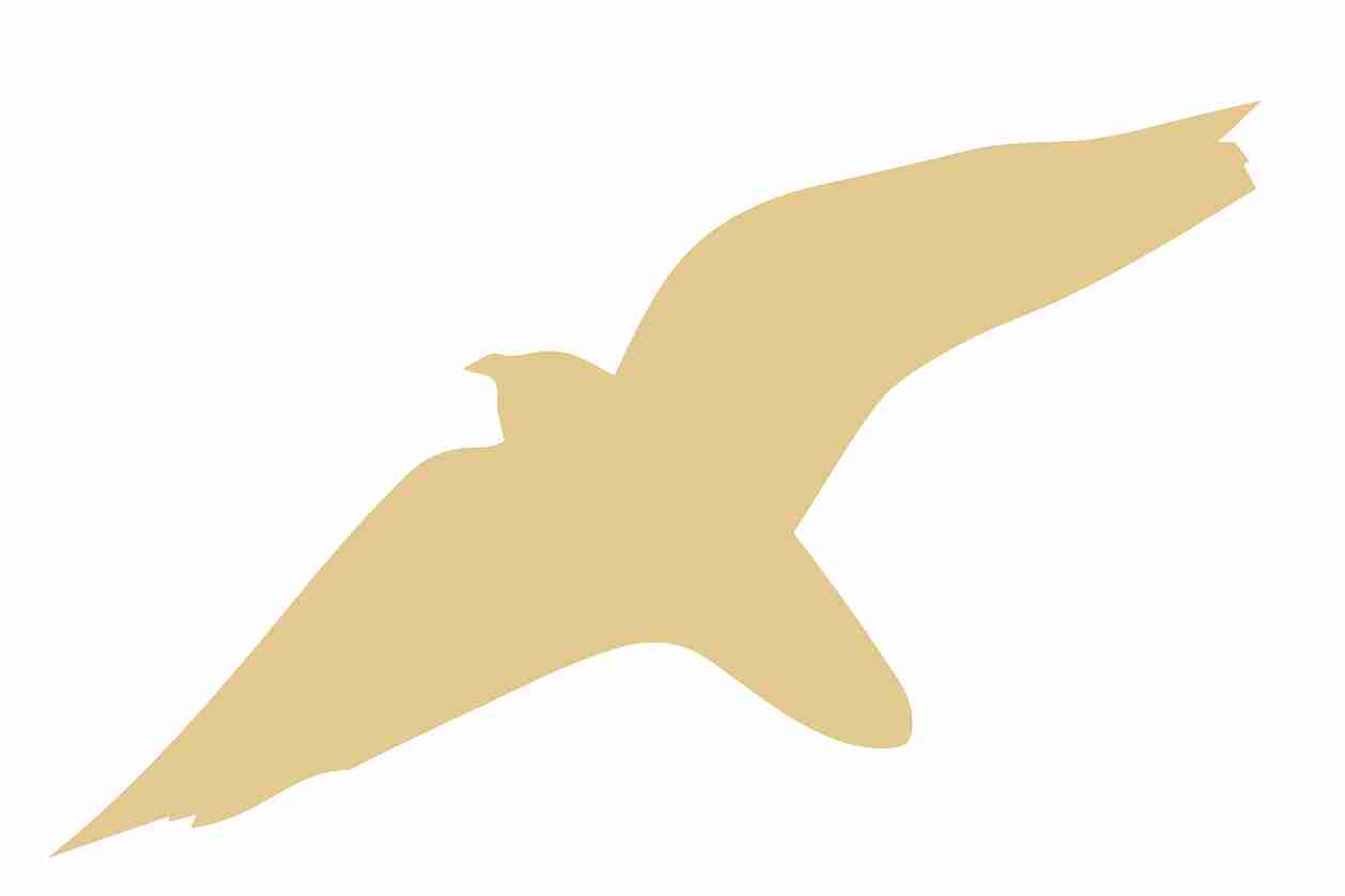 Vogelbeschermingssticker 60-100 cm EW-VOG-40-GOG, glanzend goud, gemaakt van weerbestendig kunststof.