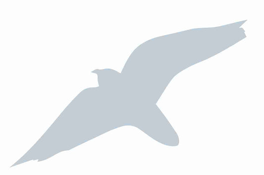 Vogelbeschermingssticker 60-100 cm EW-VOG-40-SIM, mat zilver, gemaakt van weerbestendig kunststof.