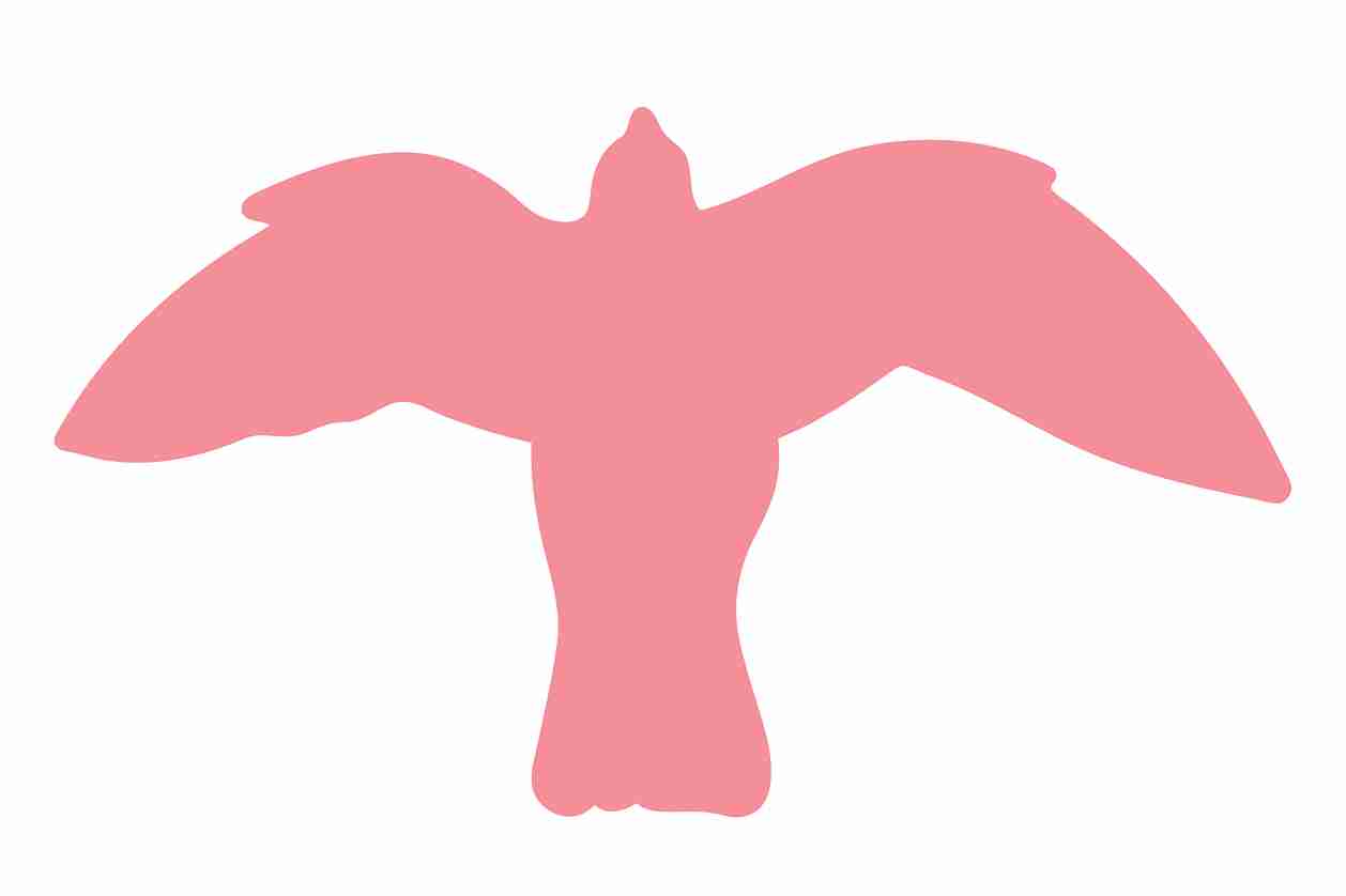 Vogelbeschermingssticker 60-100 cm EW-VOG-50-21, lichtroze kleur, gemaakt van weerbestendig kunststof.
