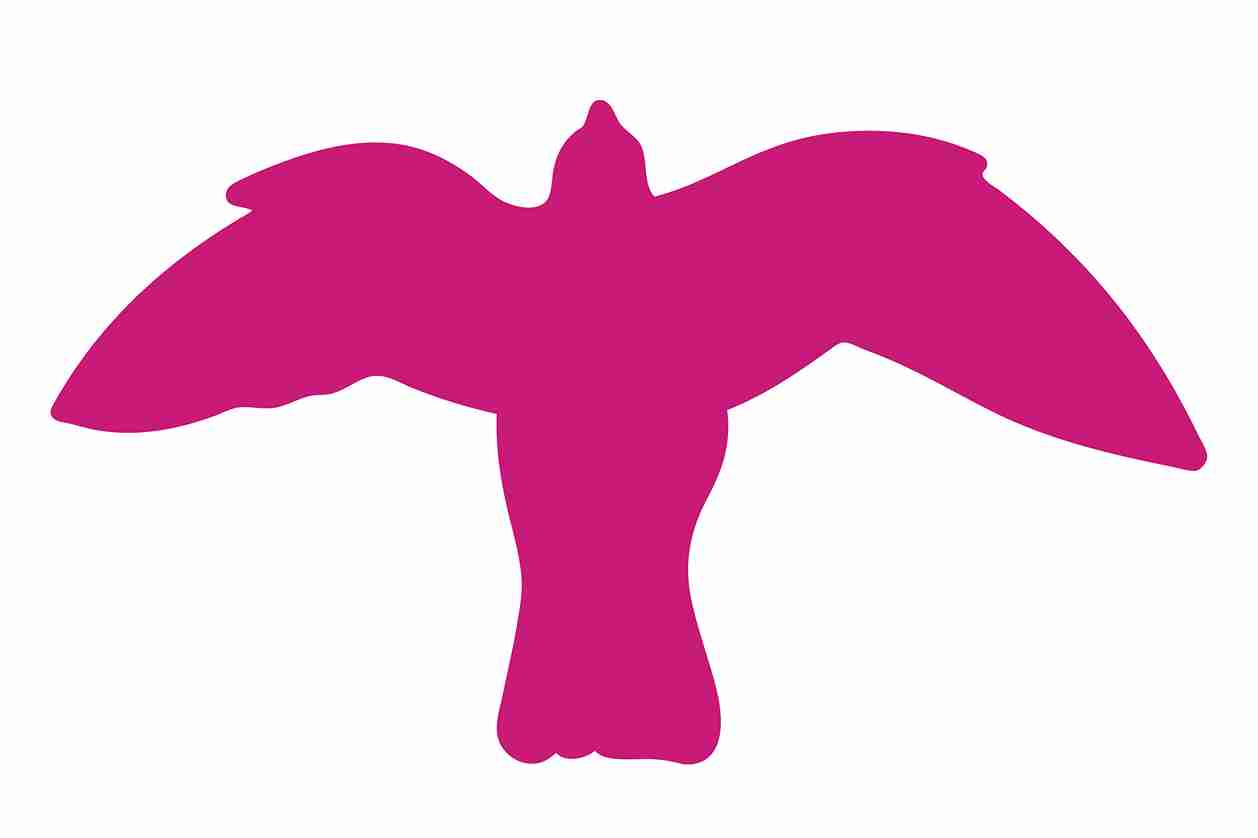 Vogelbeschermingssticker 10-50 cm EW-VOG-50-26, magenta kleur, gemaakt van weerbestendig kunststof.