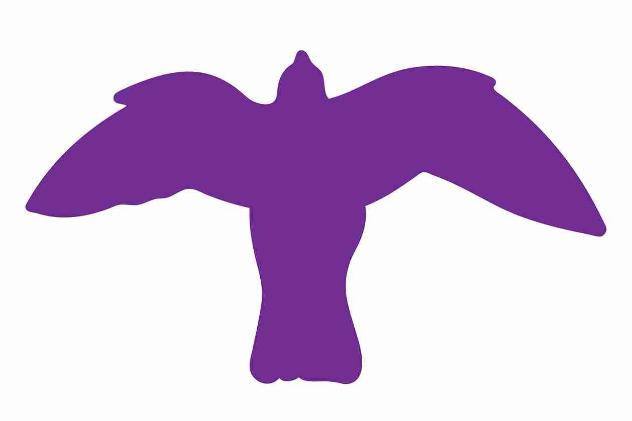 Vogelbeschermingssticker 10-50 cm EW-VOG-50-34, paarse kleur, gemaakt van weerbestendig kunststof.