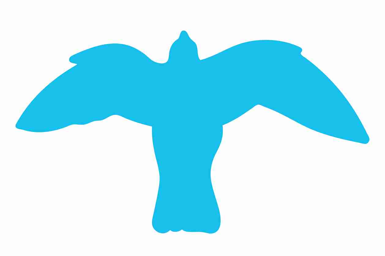 Vogelbeschermingssticker 10-50 cm EW-VOG-50-50, lichtblauwe kleur, gemaakt van weerbestendig kunststof.