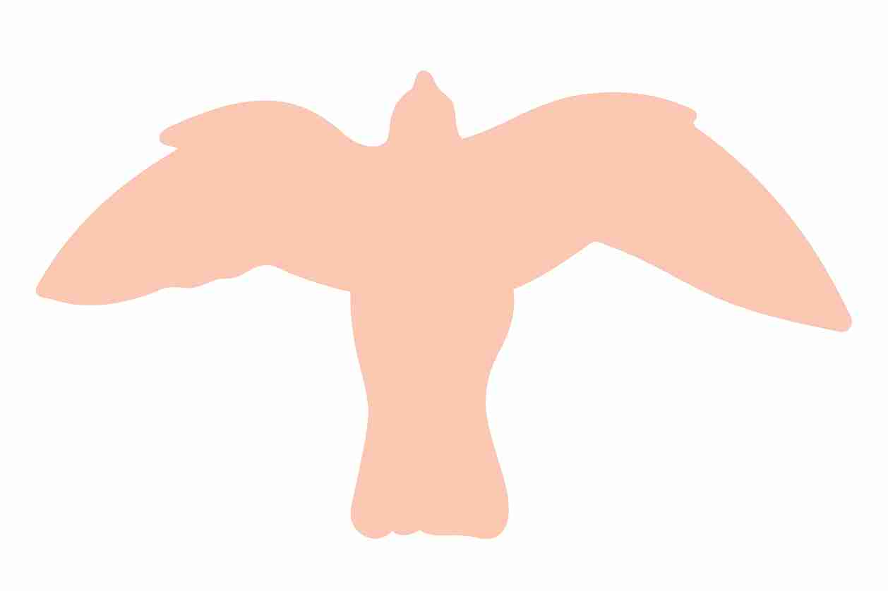 Vogelbeschermingssticker 60-100 cm EW-VOG-50-811, lichtt Oranje kleur, gemaakt van weerbestendig kunststof.
