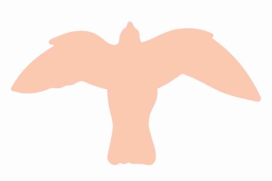 Vogelbeschermingssticker 60-100 cm EW-VOG-50-811, lichtt Oranje kleur, gemaakt van weerbestendig kunststof.