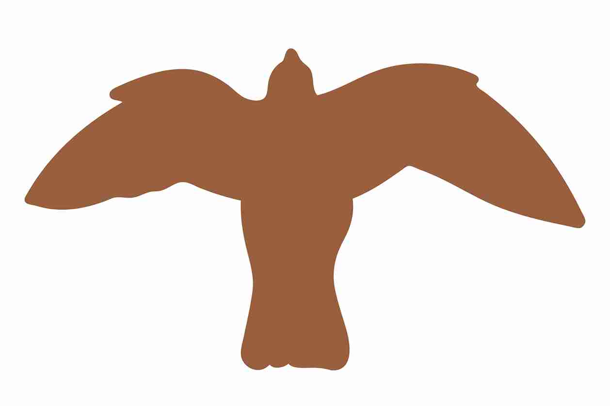 Vogelbeschermingssticker 60-100 cm EW-VOG-50-84, donkerbruine kleur, gemaakt van weerbestendig kunststof.