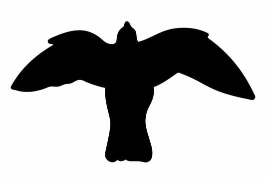 Vogelbeschermingssticker 60-100 cm EW-VOG-50-88, zwarte kleur, gemaakt van weerbestendig kunststof.