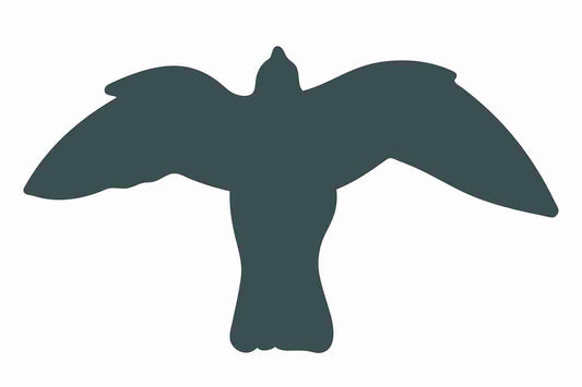 Vogelbeschermingssticker 60-100 cm EW-VOG-50-93, donkergrijze kleur, gemaakt van weerbestendig kunststof.