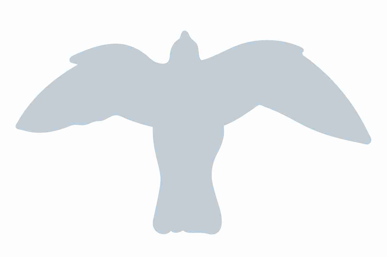 Vogelbeschermingssticker 10-50 cm EW-VOG-50-SIG, glanzend zilver, gemaakt van weerbestendig kunststof.
