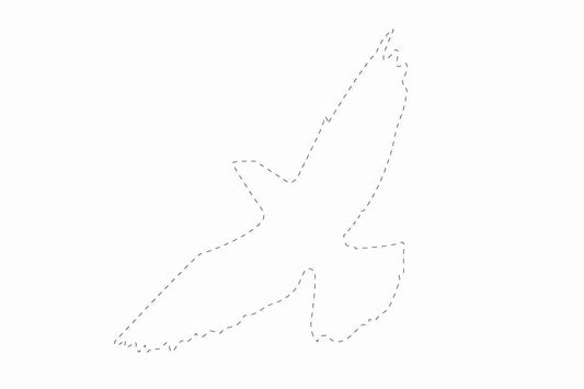 Vogelbeschermingssticker 10-50 cm EW-VOG-60-0, witte kleur, gemaakt van weerbestendig kunststof