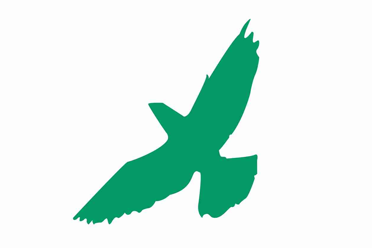 Vogelbeschermingssticker 10-50 cm EW-VOG-60-54, donkergroene kleur, gemaakt van weerbestendig kunststof.
