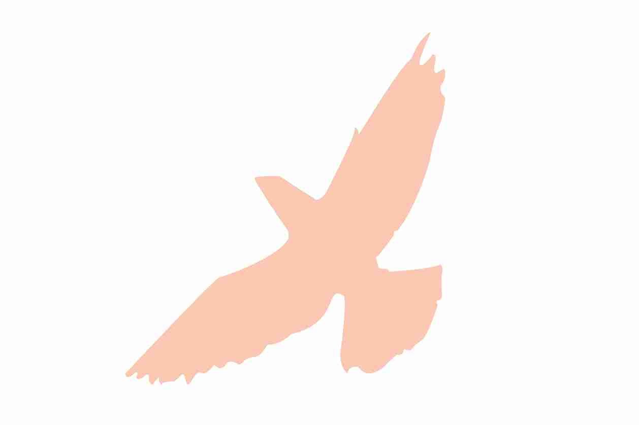 Vogelbeschermingssticker 60-100 cm EW-VOG-60-811, lichtt Oranje kleur, gemaakt van weerbestendig kunststof.