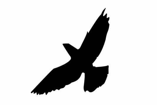 Vogelbeschermingssticker 60-100 cm EW-VOG-60-88, zwarte kleur, gemaakt van weerbestendig kunststof.