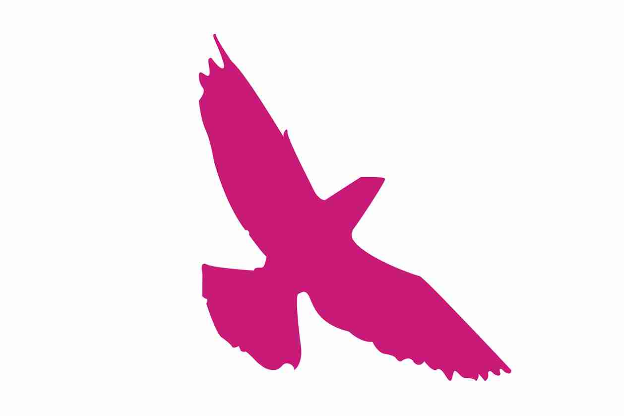 Vogelbeschermingssticker 10-50 cm EW-VOG-70-26, magenta kleur, gemaakt van weerbestendig kunststof.