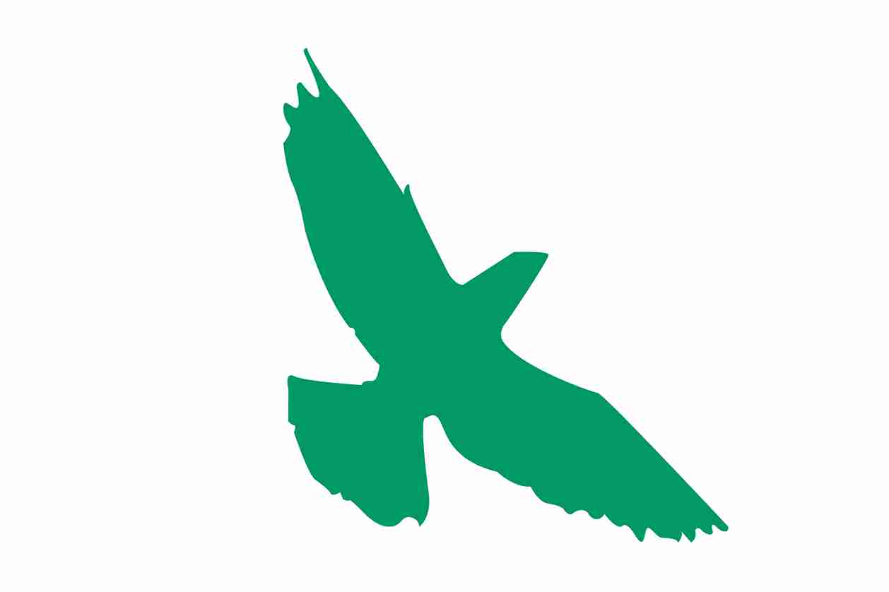 Vogelbeschermingssticker 60-100 cm EW-VOG-70-54, donkergroene kleur, gemaakt van weerbestendig kunststof.