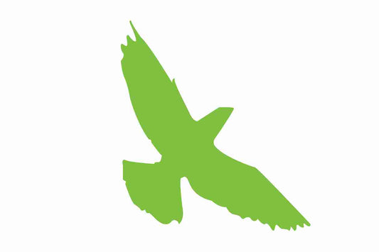 Vogelbeschermingssticker 60-100 cm EW-VOG-70-67, groene kleur, gemaakt van weerbestendig kunststof.