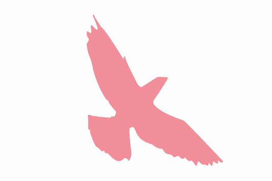 Vogelbeschermingssticker 60-100 cm EW-VOG-70-812, lichtrode kleur, gemaakt van weerbestendig kunststof.
