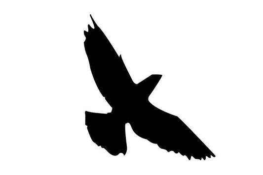 Vogelbeschermingssticker 60-100 cm EW-VOG-70-88, zwarte kleur, gemaakt van weerbestendig kunststof.