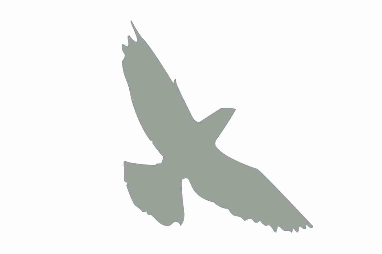 Vogelbeschermingssticker 60-100 cm EW-VOG-70-91, lichtgrijze kleur, gemaakt van weerbestendig kunststof