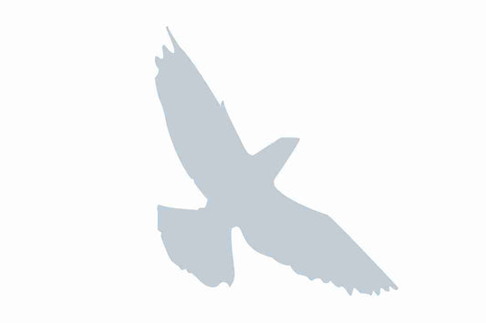 Vogelbeschermingssticker 60-100 cm EW-VOG-70-SIM, mat zilver, gemaakt van weerbestendig kunststof.