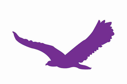 Vogelbeschermingssticker 10-50 cm EW-VOG-80-34, paarse kleur, gemaakt van weerbestendig kunststof.