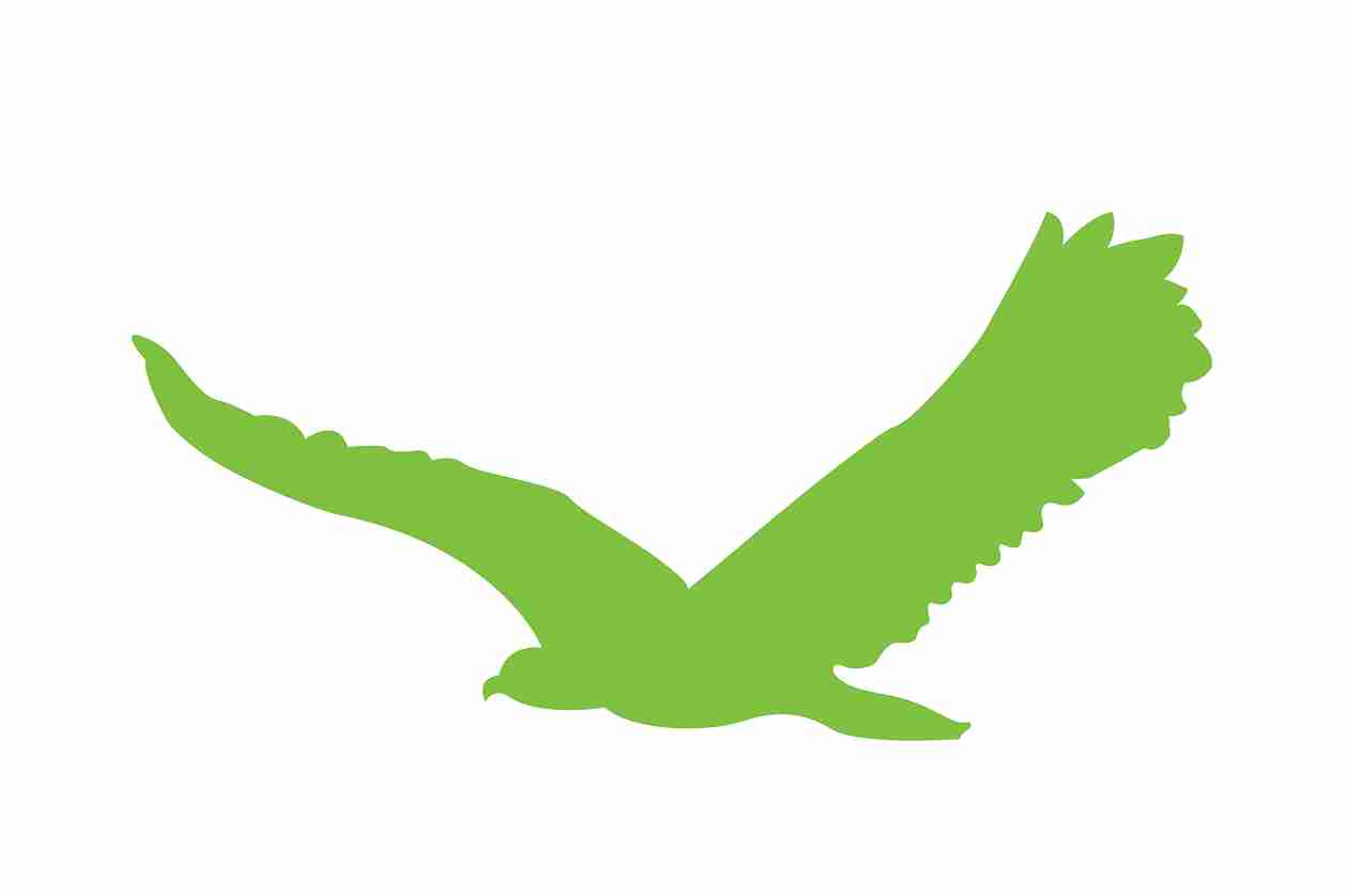 Vogelbeschermingssticker 60-100 cm EW-VOG-80-67, groene kleur, gemaakt van weerbestendig kunststof.