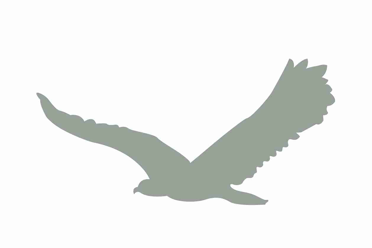 Vogelbeschermingssticker 10-50 cm EW-VOG-80-91, lichtgrijze kleur, gemaakt van weerbestendig kunststof.