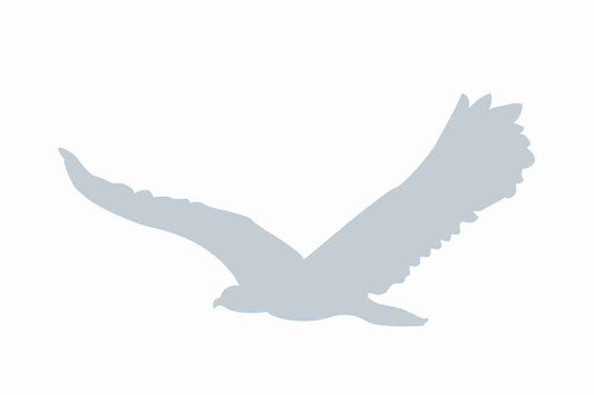 Vogelbeschermingssticker 60-100 cm EW-VOG-80-SIG, glanzend zilver, gemaakt van weerbestendig kunststof.