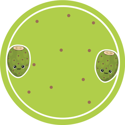 Jamstickers, conserveringslabels, huishoudlabels, ronde labels met matte afwerking LHMAR17570-Prickly Pear